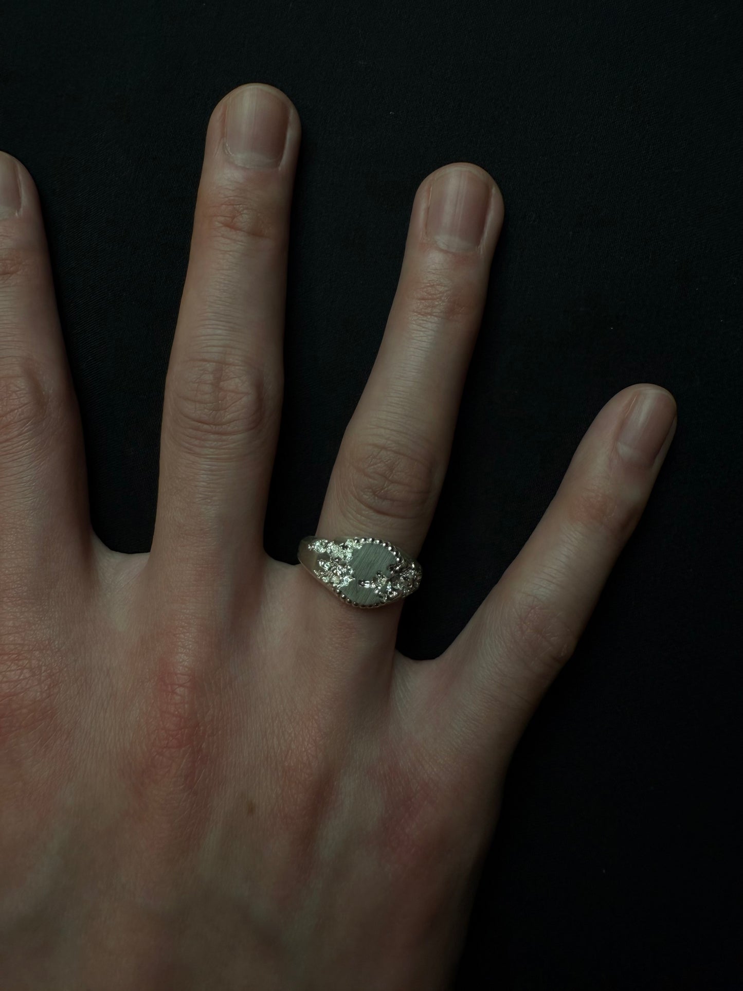 FRACTURED BEADED CIRCLE