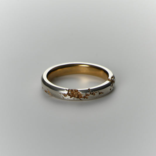 FRACTURED RING