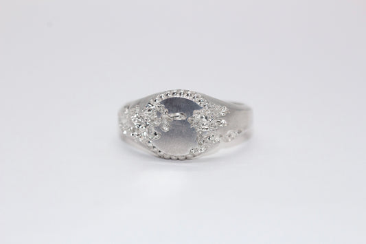 FRACTURED BEADED CIRCLE