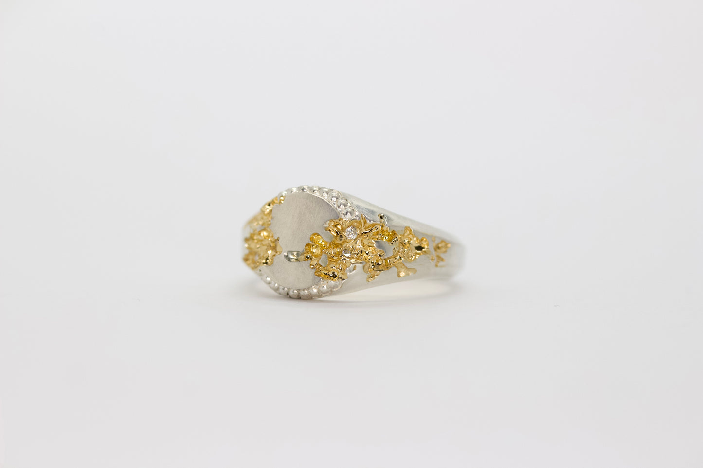 FRACTURED BEADED CIRCLE