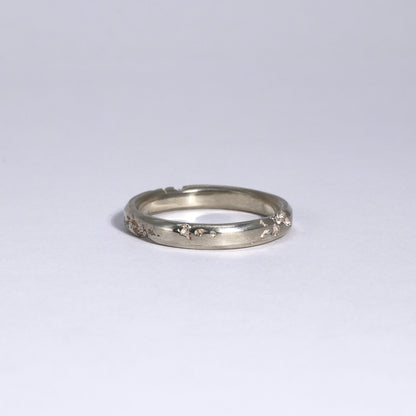 FRACTURED RING