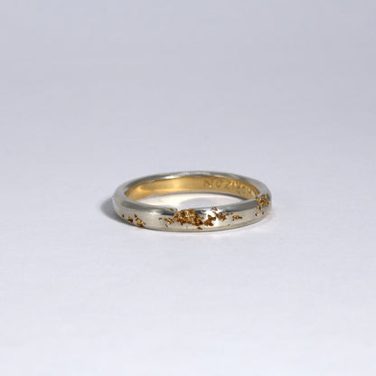 FRACTURED RING