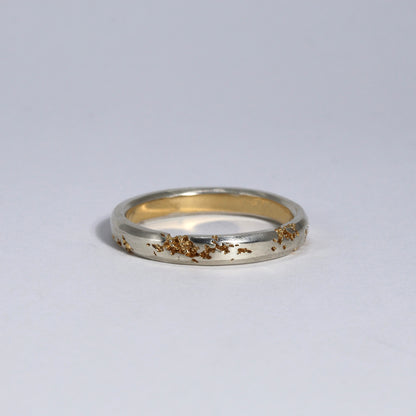 FRACTURED RING