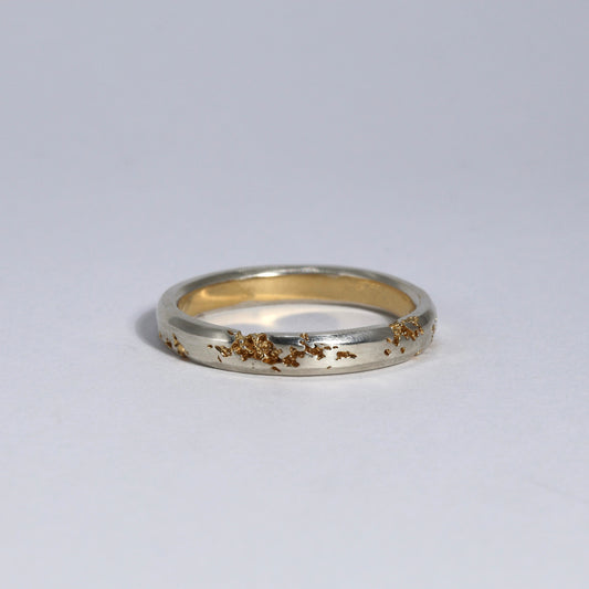 FRACTURED RING