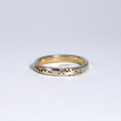 FRACTURED RING