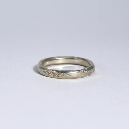 FRACTURED RING